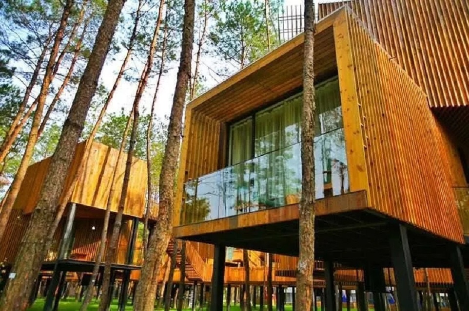 1670223103150822.jpg 16419491188008532.jpg