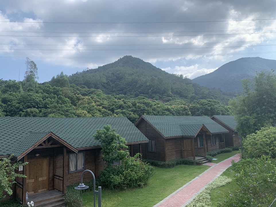 1670223848761956.jpg IMG_2161.JPG